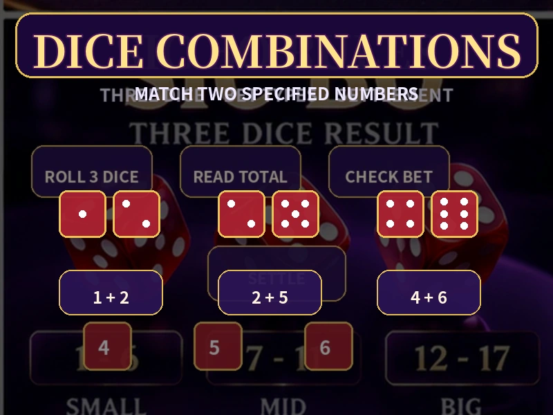 骰寶Dice Combination指定兩個不同數字概率與5比1派彩